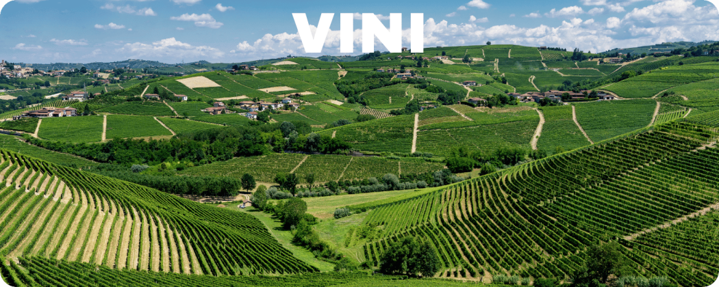 Vini in vendita online - Enoteca Federici