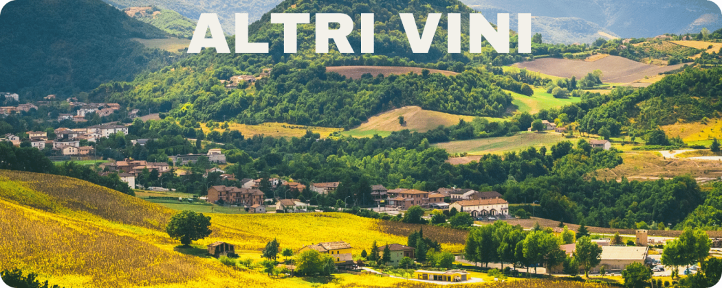 Altri Vini in vendita - Enoteca Federici